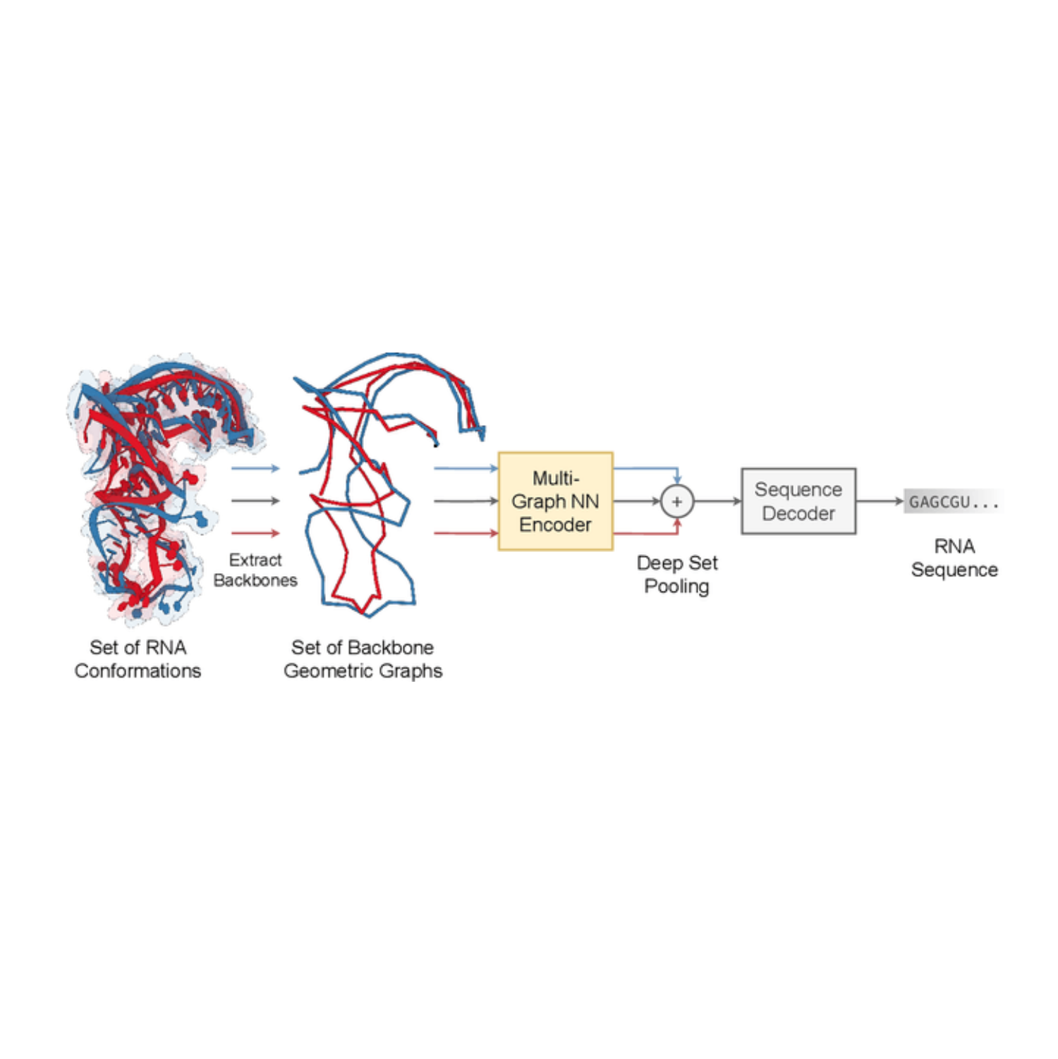 Multi-State RNA Design with Geometric Multi-Graph Neural Networks